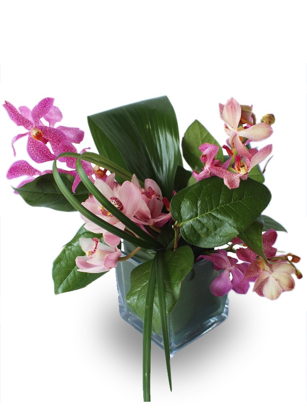Orchids Tropical Barbara S Custom Floral And Ts